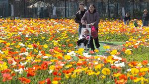 CHINA-PAISAJE DE PRIMAVERA-TURISTAS