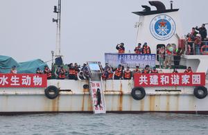 CHINA-LIAONING-DALIAN-FOCAS MANCHADAS-LIBERACION