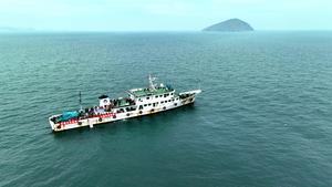 CHINA-LIAONING-DALIAN-FOCAS MANCHADAS-LIBERACION