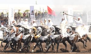 MARRUECOS-BOUZNIKA-COMPETENCIA ECUESTRE