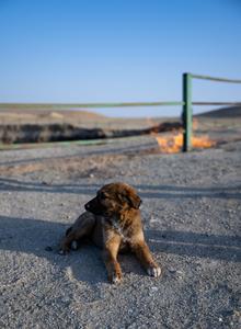 TURKMENISTAN-CRATER DE GAS DE DARVAZA