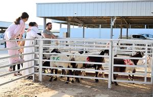 KUWAIT-GOBERNACION CAPITAL-EID AL-ADHA-MERCADO