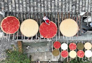 CHINA-JIANGXI-WUYUAN-OTOÑO-SECADO DE CULTIVOS-ALDEANA