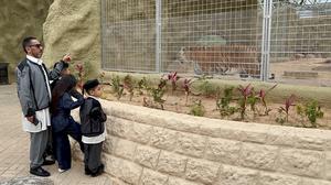 LIBIA-TRIPOLI-ZOOLOGICO-REAPERTURA