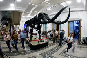 RUMANIA-BUCAREST-NOCHE EUROPEA DE LOS MUSEOS
