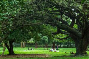 KENIA-DIA INTERNACIONAL DE LOS BOSQUES-ECOTURISMO