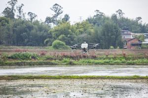 CHINA-CHONGQING-AGRICULTURA DE MONTAÑA-TECNOLOGIA INTELIGENTE