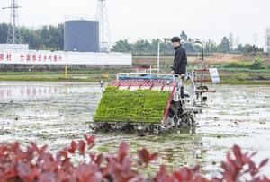 CHINA-CHONGQING-AGRICULTURA DE MONTAÑA-TECNOLOGIA INTELIGENTE