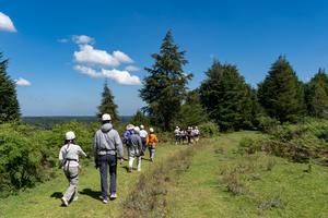 KENIA-DIA INTERNACIONAL DE LOS BOSQUES-ECOTURISMO