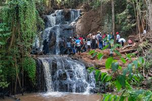 KENIA-DIA INTERNACIONAL DE LOS BOSQUES-ECOTURISMO