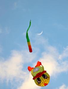 CHINA-HEILONGJIANG-LUNA CRECIENTE