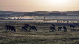 CHINA-HEBEI-CHENGDE-PASTIZAL-PAISAJE