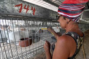 CUBA-HABANA-BLOQUE ESTADOUNIDENSE-CAMPESINOS