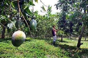 CUBA-HABANA-BLOQUE ESTADOUNIDENSE-CAMPESINOS