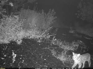 CHINA-GUANGDONG-SHENZHEN-SENDEROS ECOLOGICOS