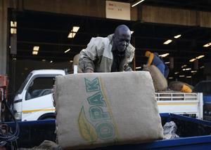 ZIMBABUE-HARARE-TABACO-COSECHA