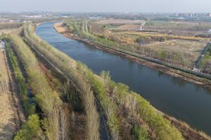 CHINA-TIANJIN-WUQING-GRAN CANAL-PAISAJE DE PRIMAVERA