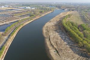 CHINA-TIANJIN-WUQING-GRAN CANAL-PAISAJE DE PRIMAVERA