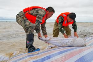 CHINA-HEILONGJIANG-TONGJIANG-INUNDACION-PREVENCION