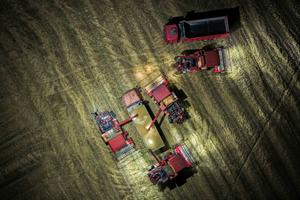 CHINA-ANHUI-COSECHA DE TRIGO-ILUMINACION CON DRONES
