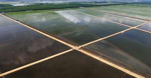 CHINA-HEILONGJIANG-AGRICULTURA