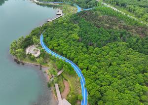 CHINA-HEBEI-XIONG'AN-REFORESTACION