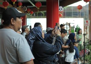 INDONESIA-CRIA DE PANDA-DEBUT PUBLICO