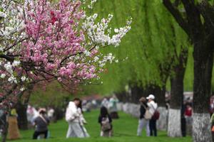CHINA-ZHEJIANG-HANGZHOU-LAGO OESTE-VISTAS DE PRIMAVERA