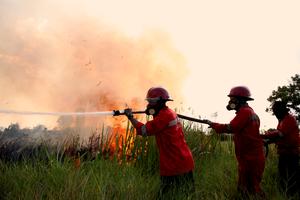 INDONESIA-SUMATRA DEL SUR-INCENDIO EN TURBERA