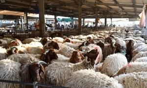 KUWAIT-GOBERNACION CAPITAL-EID AL-ADHA-MERCADO