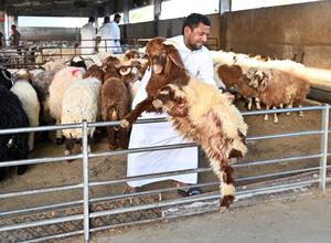 KUWAIT-GOBERNACION CAPITAL-EID AL-ADHA-MERCADO