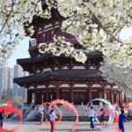 CHINA-LONGTAITOU-PRIMAVERA-CELEBRACION