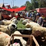 PAKISTAN-LAHORE-EID AL-ADHA-MERCADO