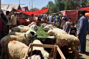 PAKISTAN-LAHORE-EID AL-ADHA-MERCADO