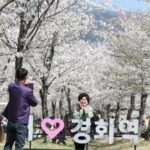 REPUBLICA DE COREA-CHANGWON-FLORES DE CEREZO