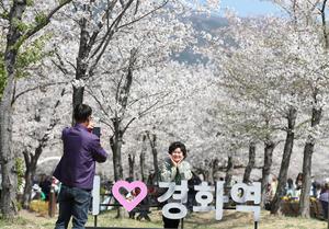 REPUBLICA DE COREA-CHANGWON-FLORES DE CEREZO