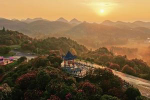 CHINA-GUIZHOU-BIJIE-AZALEA-TURISMO