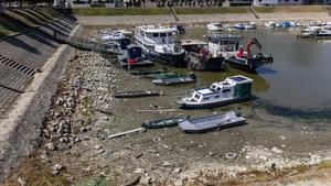CROACIA-VUKOVAR-DANUBIO-NIVEL BAJO DE AGUA