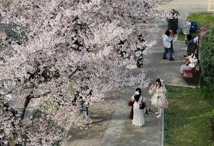 CHINA-SHAANXI-XI'AN-LAGO QUJIANG-PRIMAVERA-PAISAJE