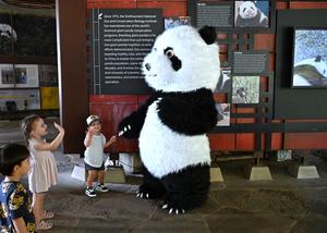 EEUU-WASHINGTON D. C.-PANDA GIGANTE BAO LI-CUMPLEAÑOS