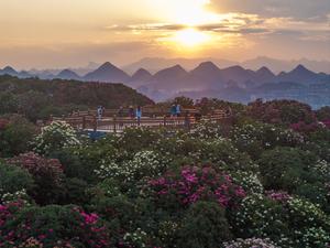 CHINA-GUIZHOU-BIJIE-AZALEA-TURISMO