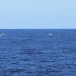 CHINA-HUANGYAN DAO-PROVOCACIONES FILIPINAS