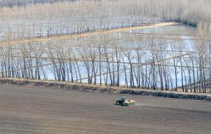 CHINA-HEILONGJIANG-GRUPO BEIDAHUANG-YOUYI FARM-SIEMBRA DE PRIMAVERA
