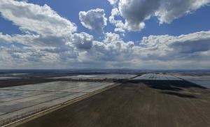 CHINA-HEILONGJIANG-GRUPO BEIDAHUANG-YOUYI FARM-SIEMBRA DE PRIMAVERA