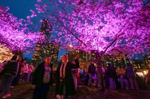 CANADA-VANCOUVER-FLORES DESPUES DEL ANOCHECER