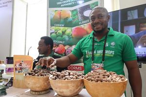 GHANA-ACCRA-ALIANZA GLOBAL DEL KARITE-CONFERENCIA