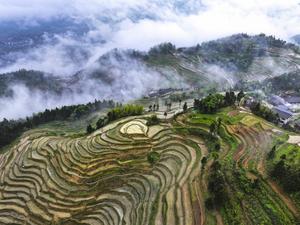 CHINA-HUNAN-TERRAZAS DE ZIQUEJIE