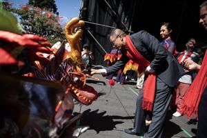 ARGENTINA-BUENOS AIRES-AÑO NUEVO CHINO