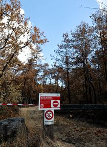 FRANCIA-SEINE-ET-MARNE-BOSQUE DE FONTAINEBLEAU-INCENDIO FORESTAL-SECUELAS