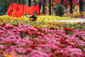 CHINA-MACAO-AÑO NUEVO CHINO-EXPOSICION DE FLORES